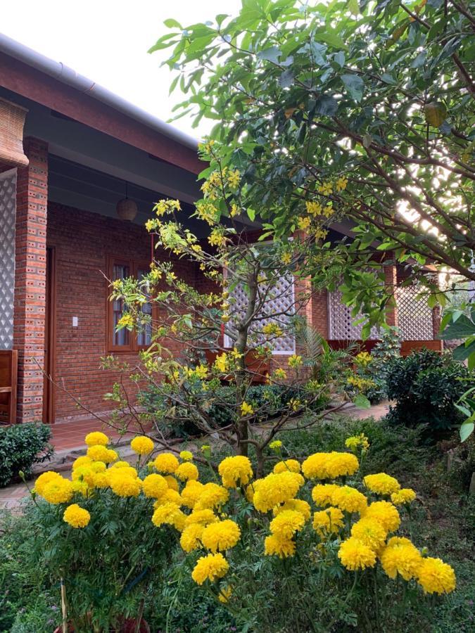 Sam Ong Lang Homestay Phu Quoc Exterior photo